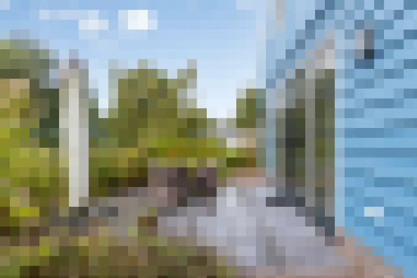 Noordsche Bosch 8 Broek in Waterland thumbnail 37