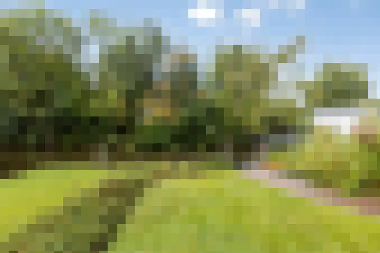 Noordsche Bosch 8 Broek in Waterland thumbnail 38