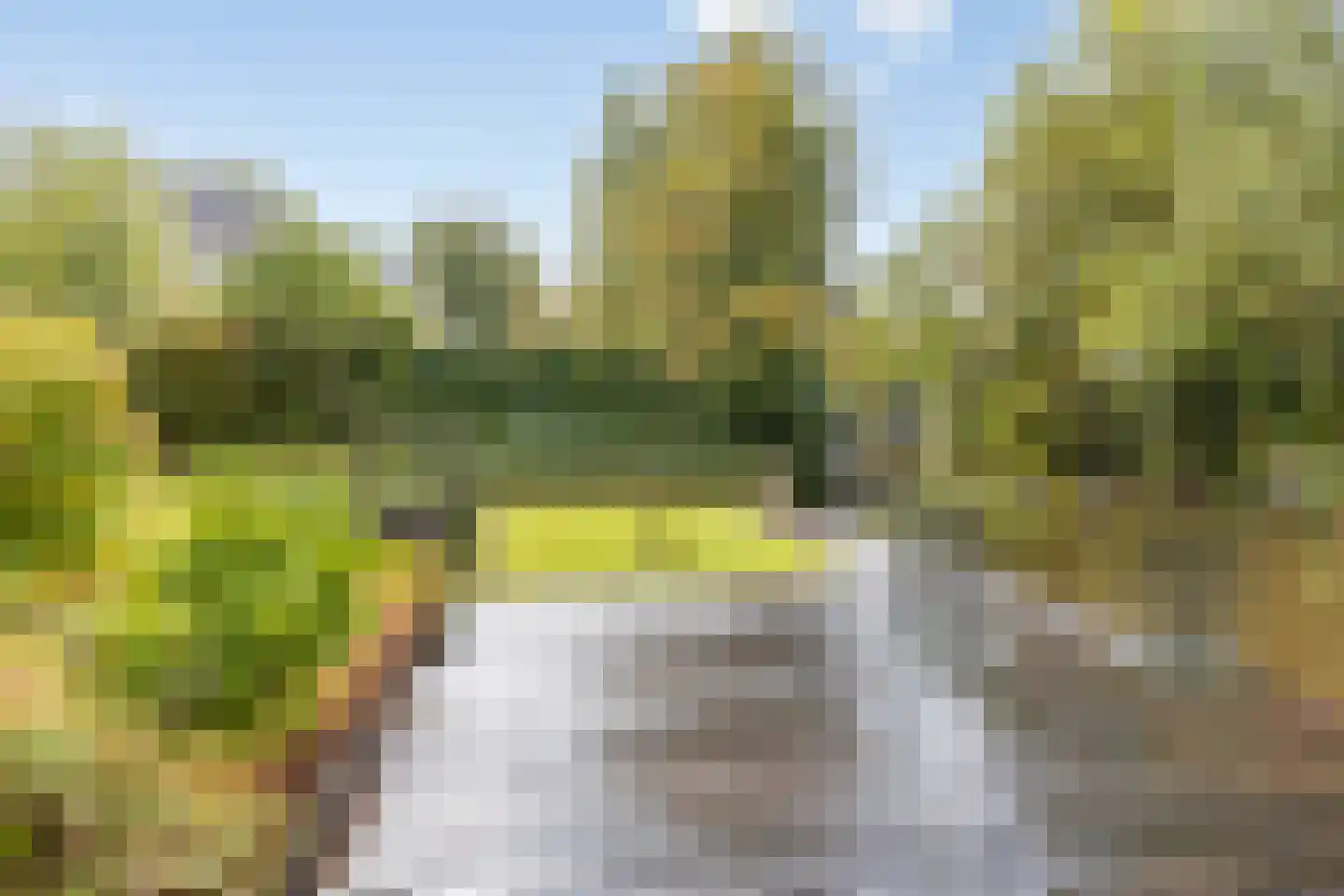 Noordsche Bosch 8 Broek in Waterland thumbnail 42