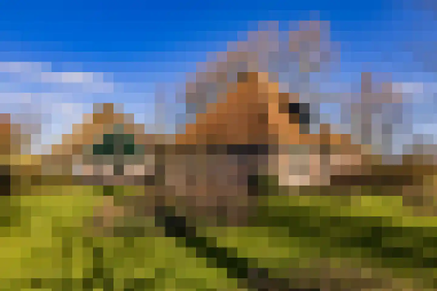 Noordschermerdijk 6 Oterleek thumbnail 23