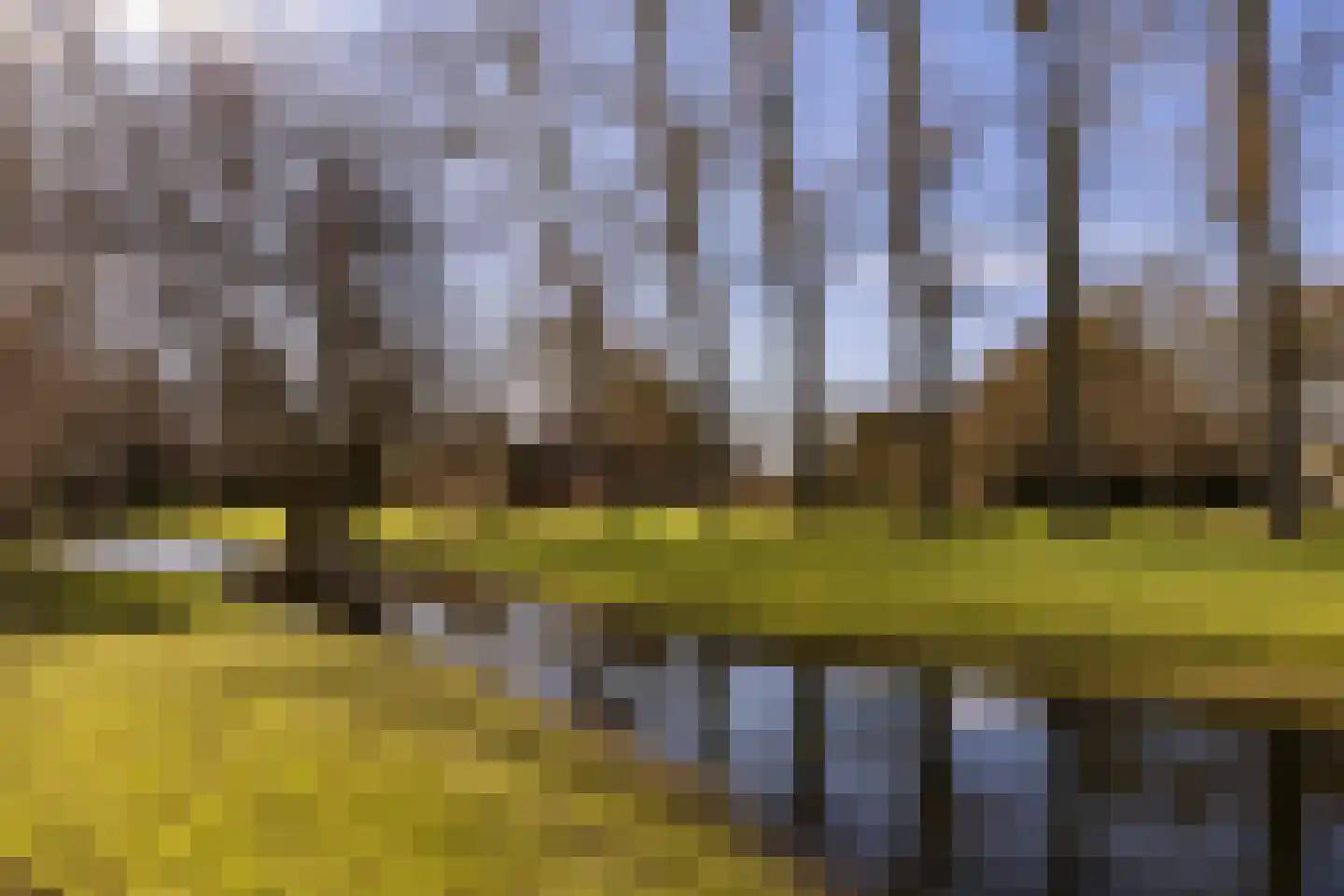 Noordschermerdijk 6 Oterleek thumbnail 24