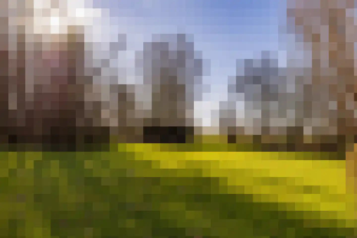 Noordschermerdijk 6 Oterleek thumbnail 25
