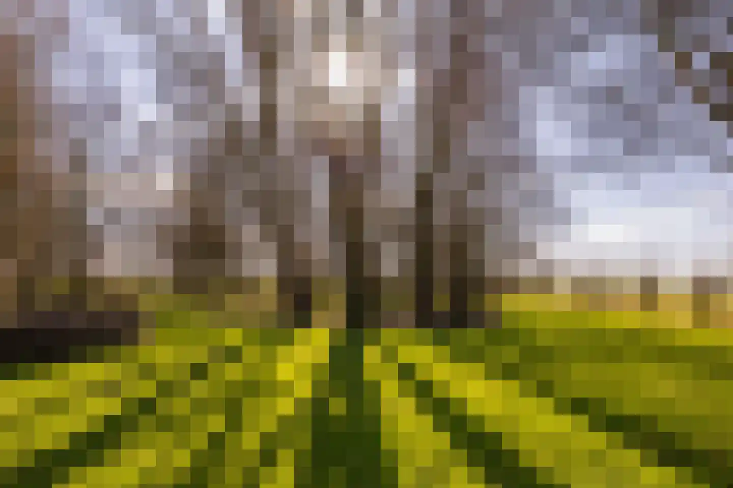 Noordschermerdijk 6 Oterleek thumbnail 29