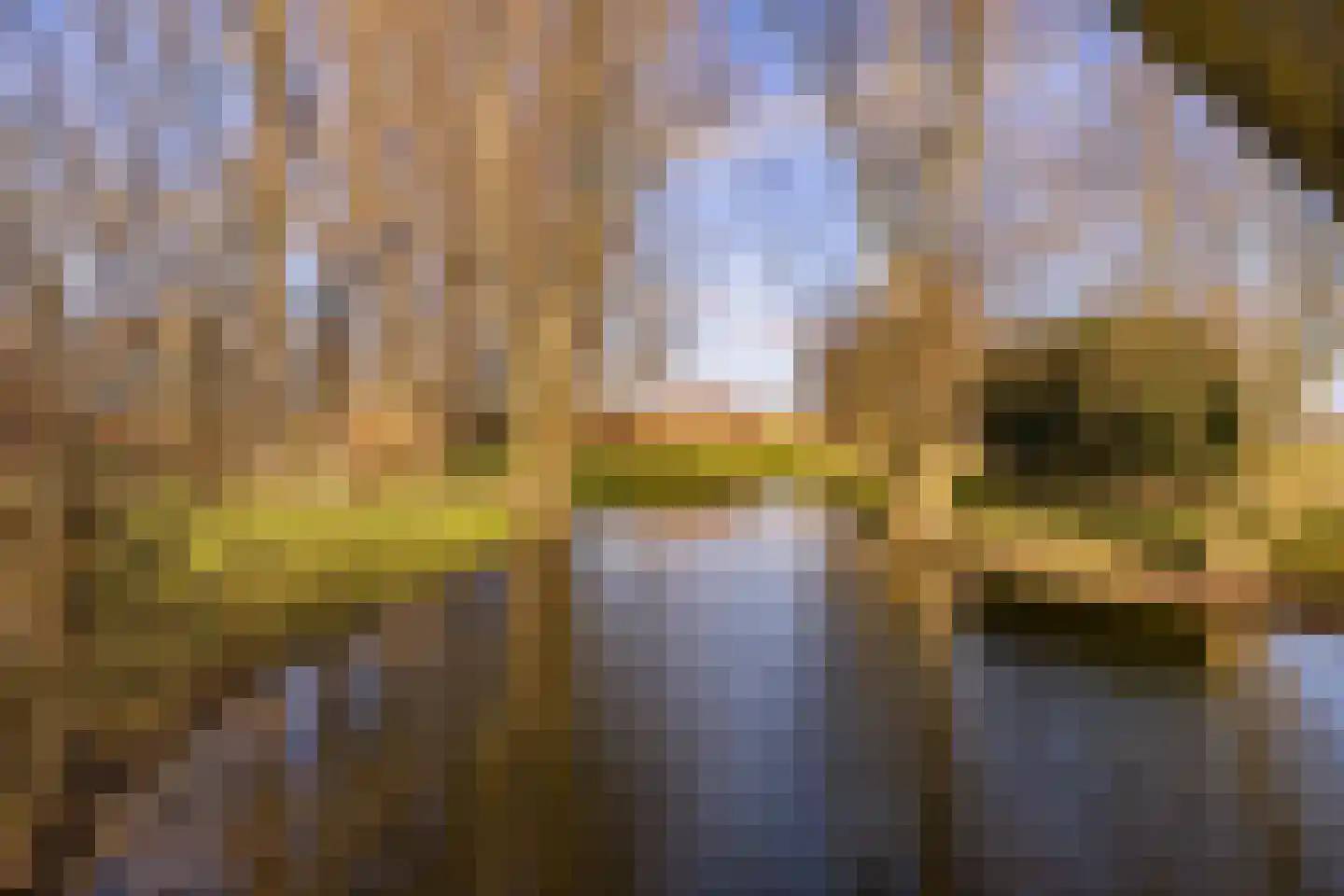Noordschermerdijk 6 Oterleek thumbnail 30