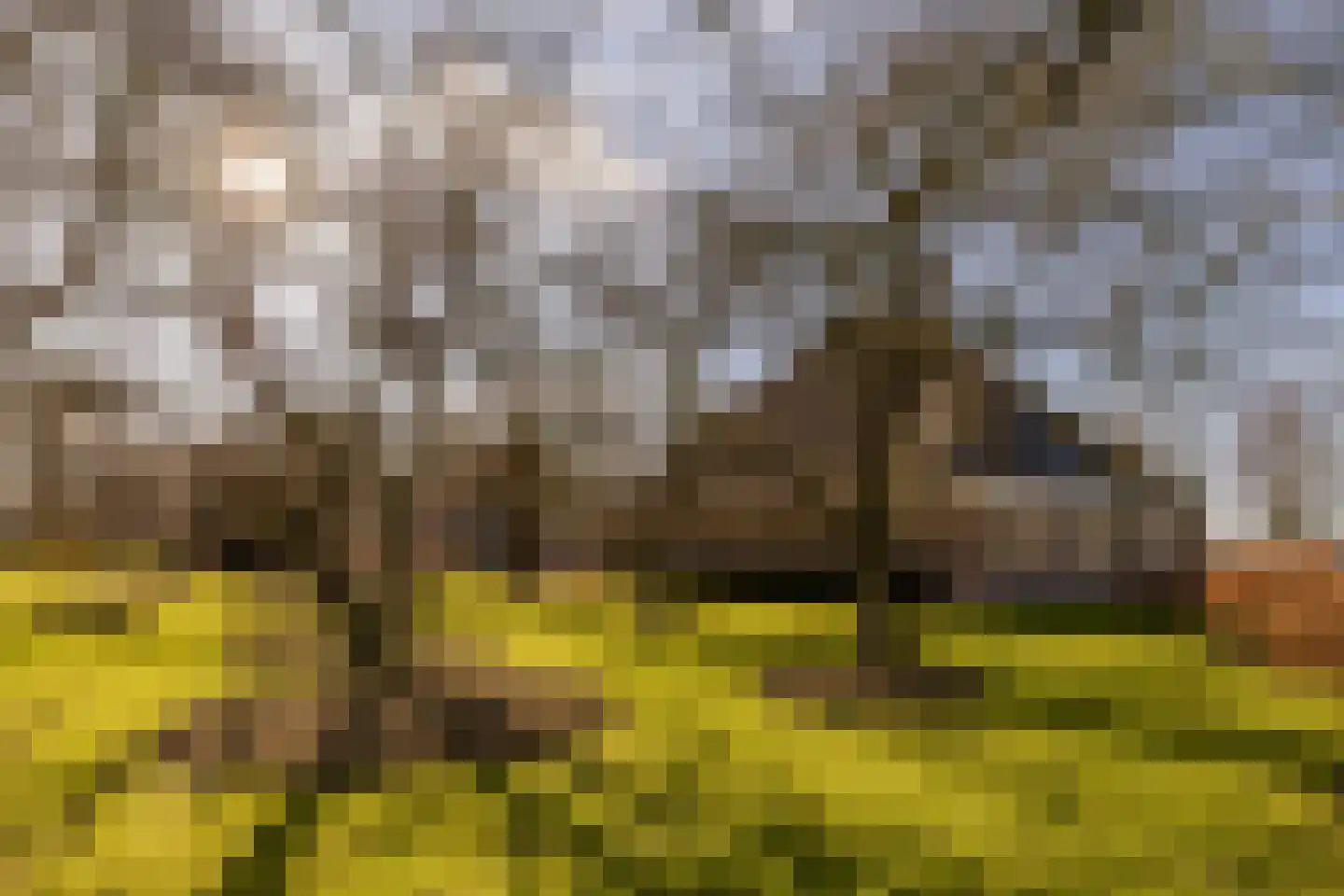 Noordschermerdijk 6 Oterleek thumbnail 32