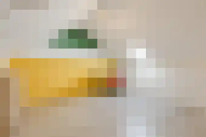 Noordschotestraat 36 Breda thumbnail 32