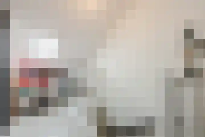 Noordschotestraat 36 Breda thumbnail 33