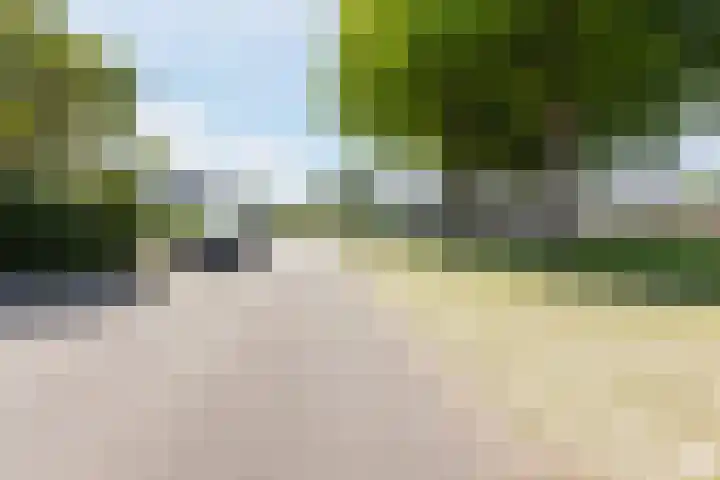 Noordschotestraat 36 Breda thumbnail 41