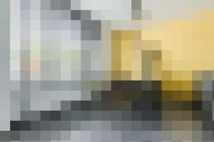 Noordschotestraat 36 Breda thumbnail 6