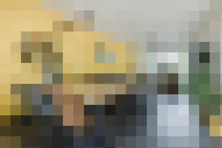 Noordschotestraat 36 Breda thumbnail 8