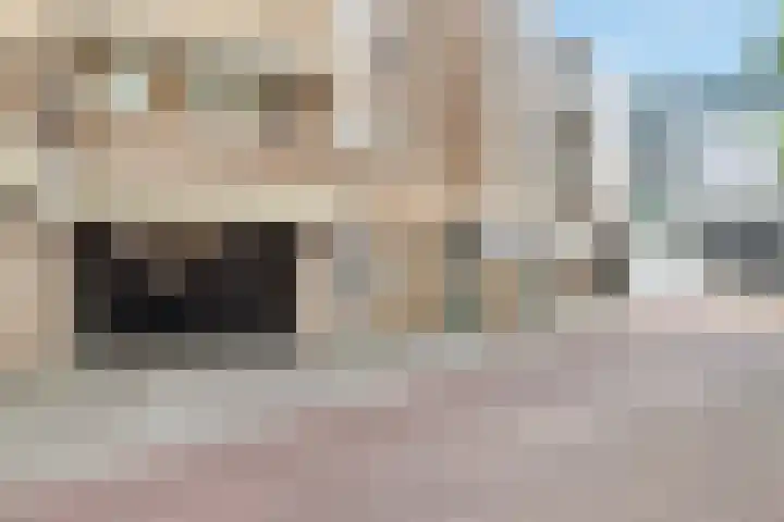 Noordse Bosje 2 G Hilversum thumbnail 15