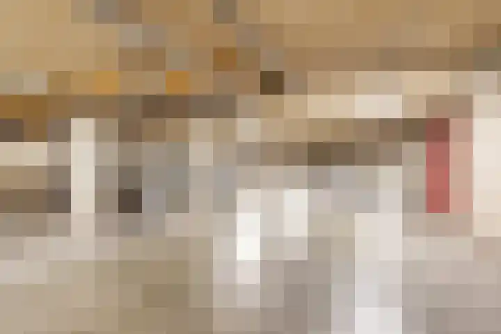 Noordse Bosje 2 G Hilversum thumbnail 16