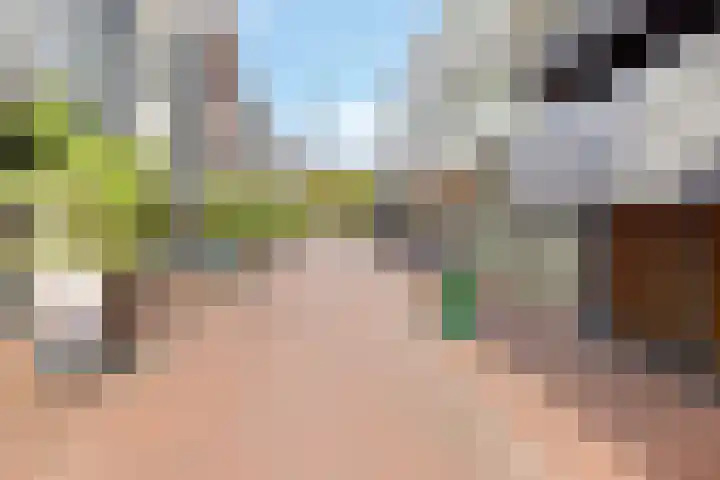 Noordse Bosje 2 G Hilversum thumbnail 17