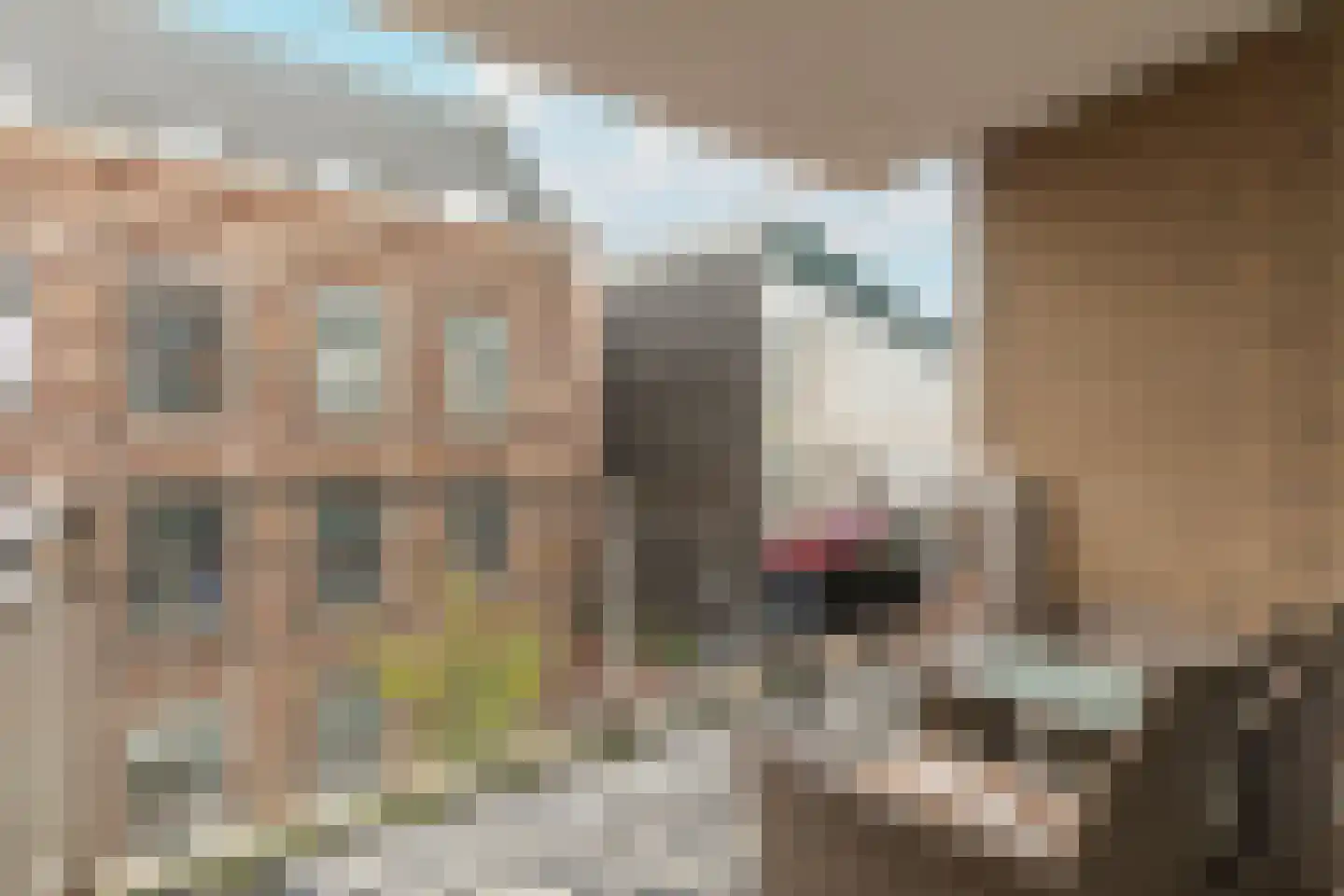 Noordse Bosje 2 G Hilversum thumbnail 25