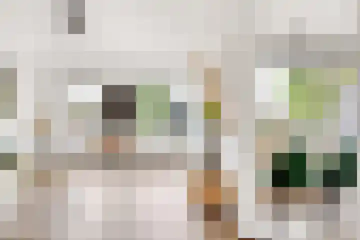 Noordse Bosje 2 G Hilversum thumbnail 5
