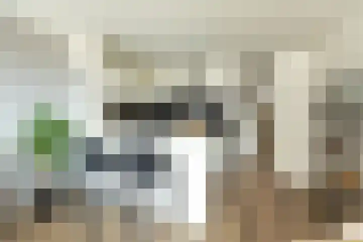 Noordse Bosje 32 Hilversum thumbnail 10