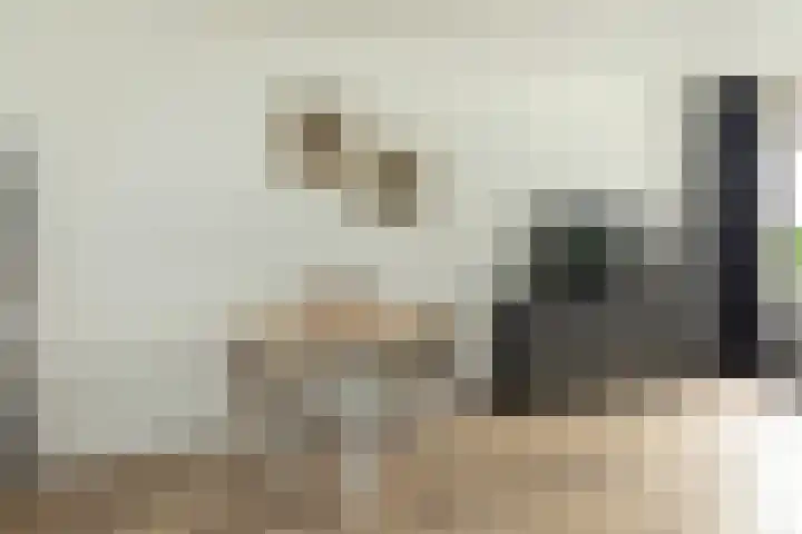 Noordse Bosje 32 Hilversum thumbnail 9