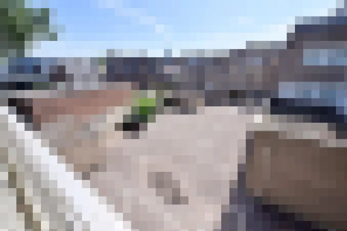 Noordse Bosje 34 Hilversum thumbnail 10