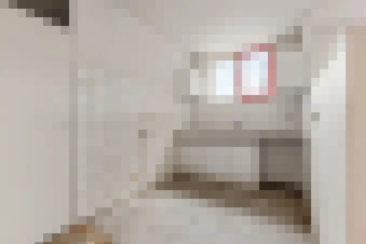 Noordse Bosje 36 Hilversum thumbnail 11