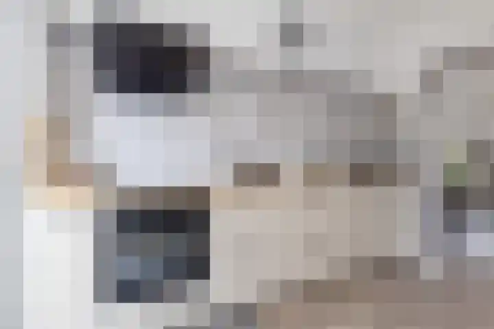 Noordse Bosje 40 Hilversum thumbnail 10