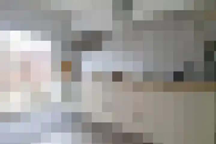 Noordse Bosje 40 Hilversum thumbnail 12