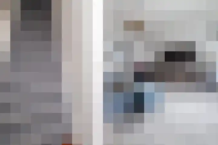 Noordse Bosje 40 Hilversum thumbnail 15