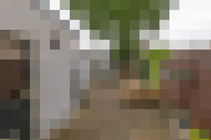 Noordse Bosje 40 Hilversum thumbnail 20