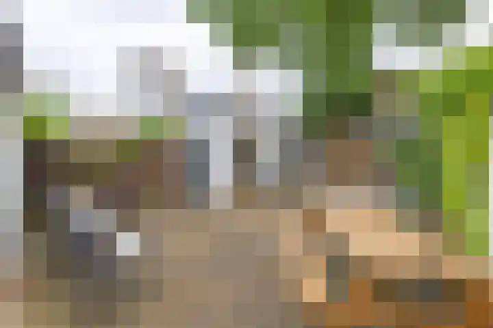 Noordse Bosje 40 Hilversum thumbnail 21