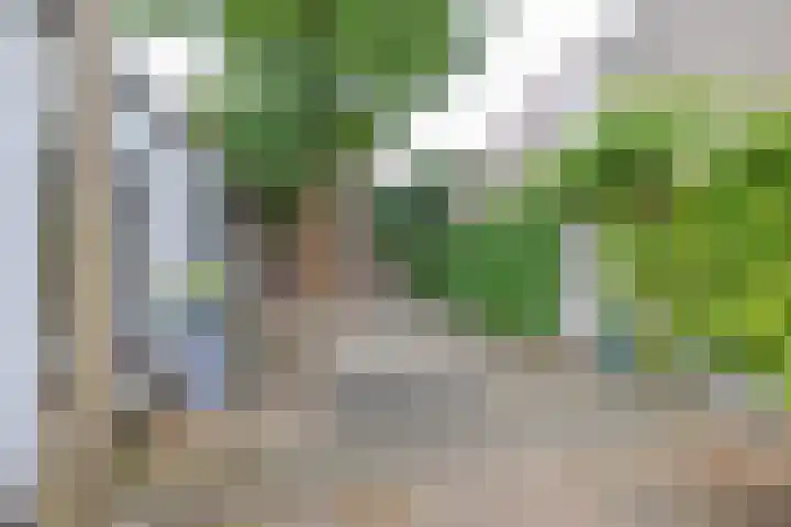 Noordse Bosje 40 Hilversum thumbnail 23