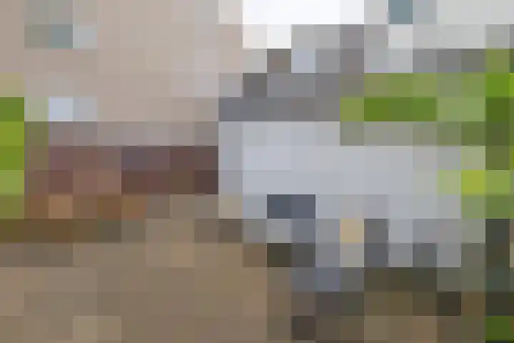 Noordse Bosje 40 Hilversum thumbnail 25