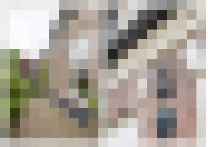 Noordse Bosje 40 Hilversum thumbnail 5