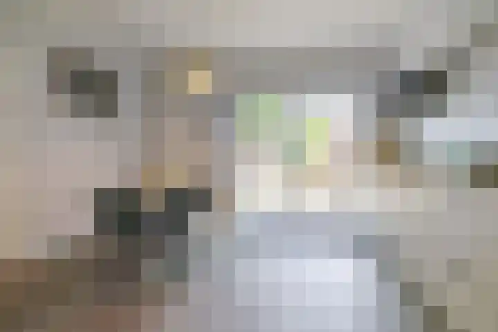 Noordse Bosje 40 Hilversum thumbnail 8