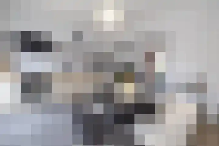 Noordse Bosje 40 Hilversum thumbnail 9