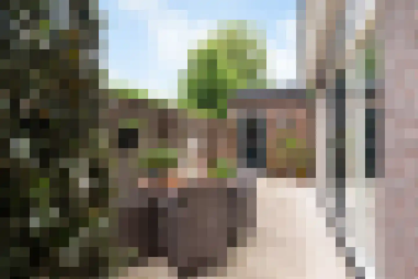 Noordse Dorpsweg 15 Noorden thumbnail 25