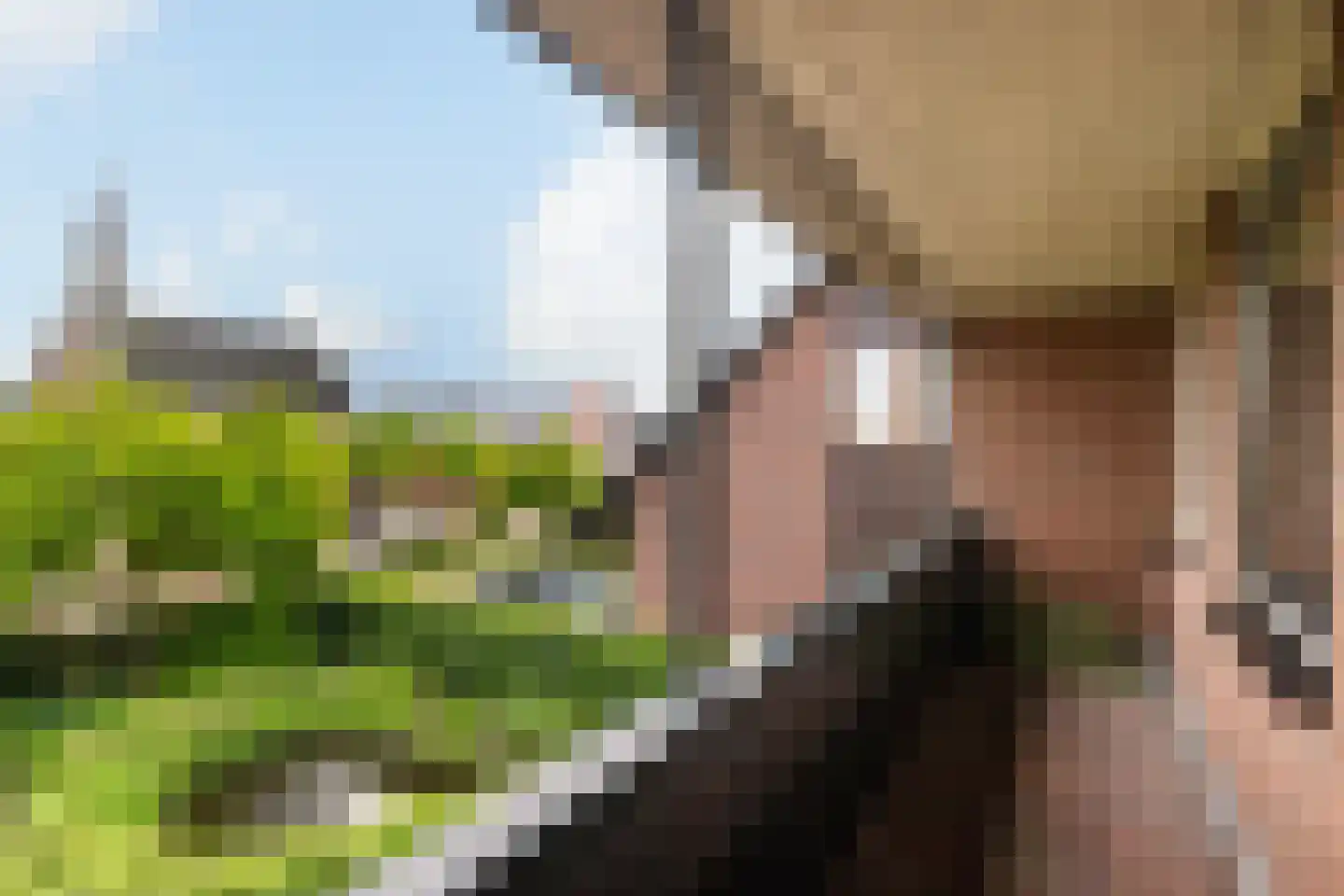 Noordse Dorpsweg 15 Noorden thumbnail 39