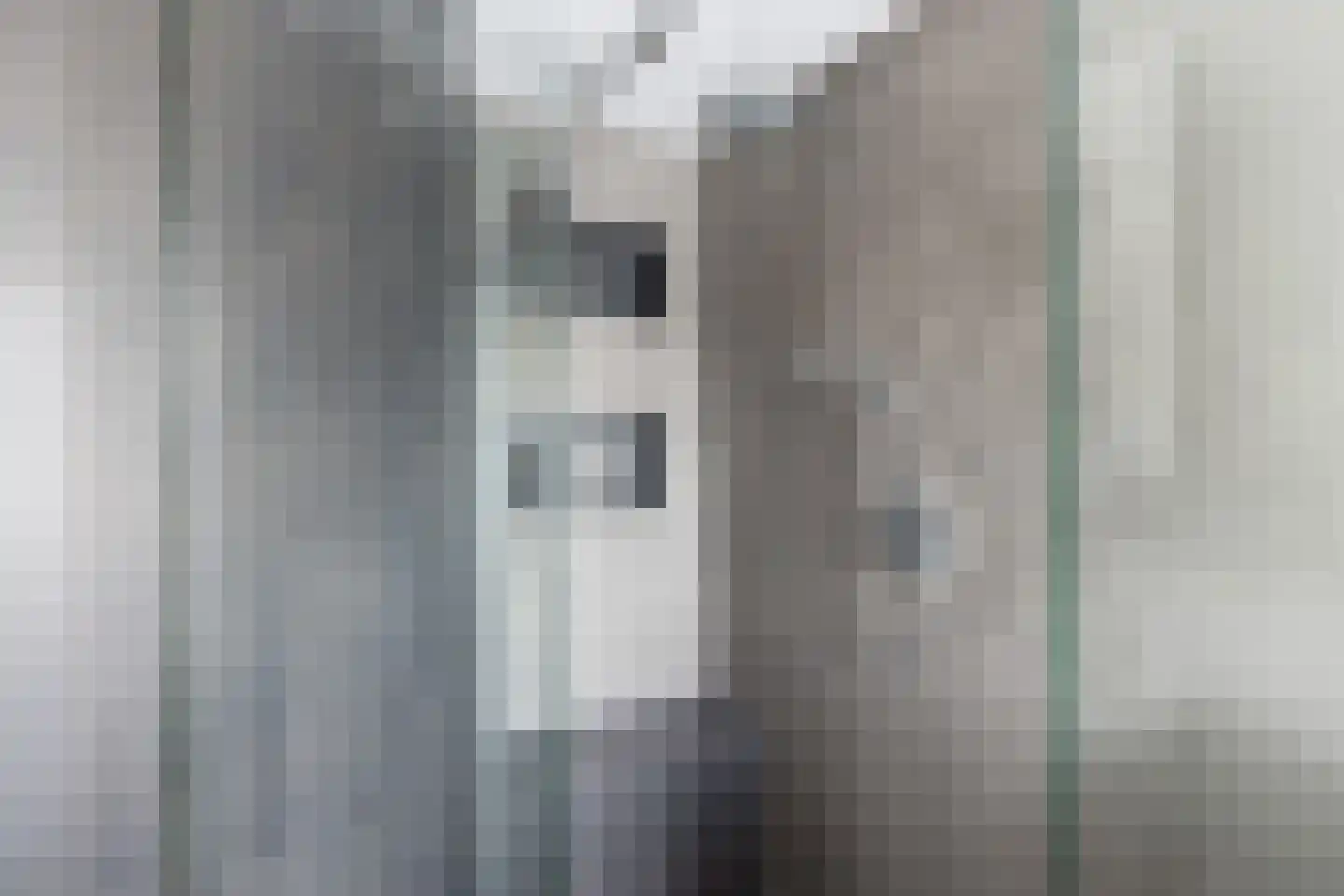 Noordse Dorpsweg 15 Noorden thumbnail 44