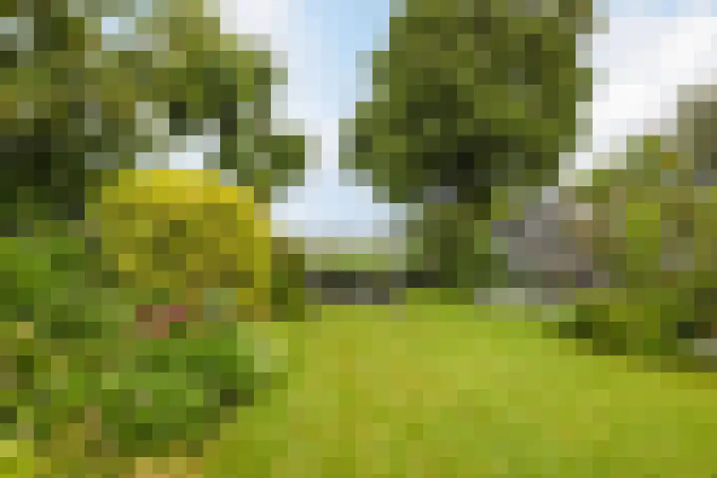 Noordse Dorpsweg 15 Noorden thumbnail 52