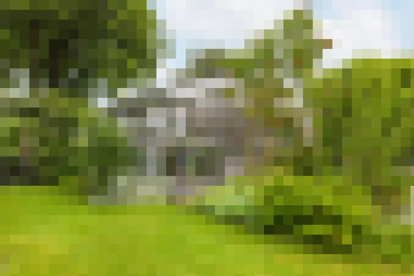 Noordse Dorpsweg 15 Noorden thumbnail 54