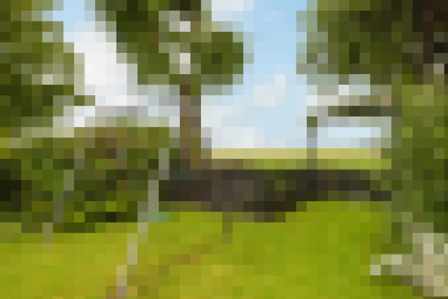 Noordse Dorpsweg 15 Noorden thumbnail 55
