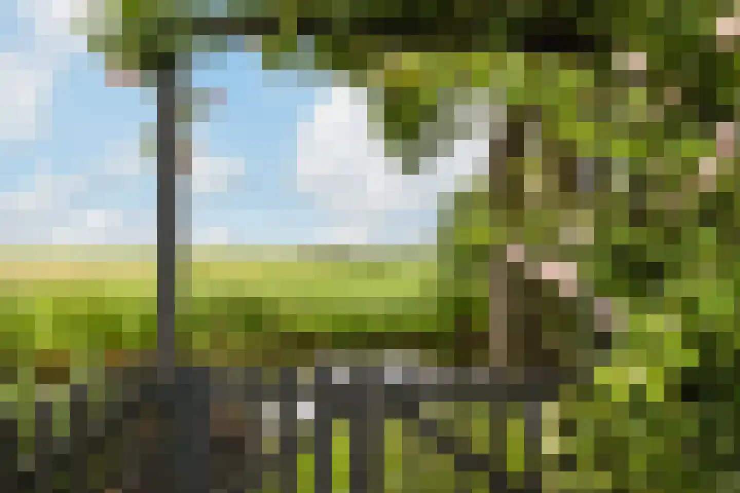 Noordse Dorpsweg 15 Noorden thumbnail 56