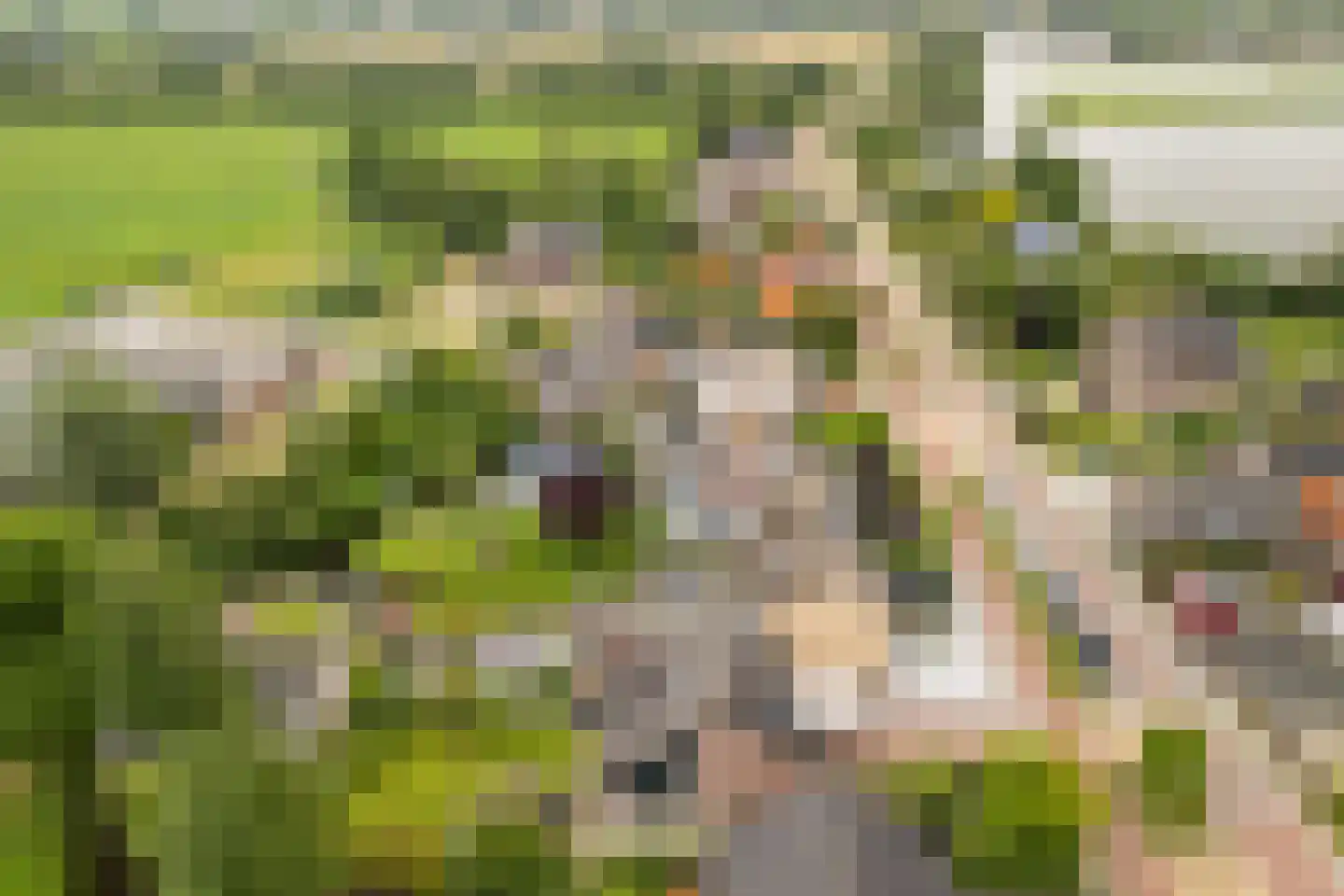 Noordse Dorpsweg 15 Noorden thumbnail 59