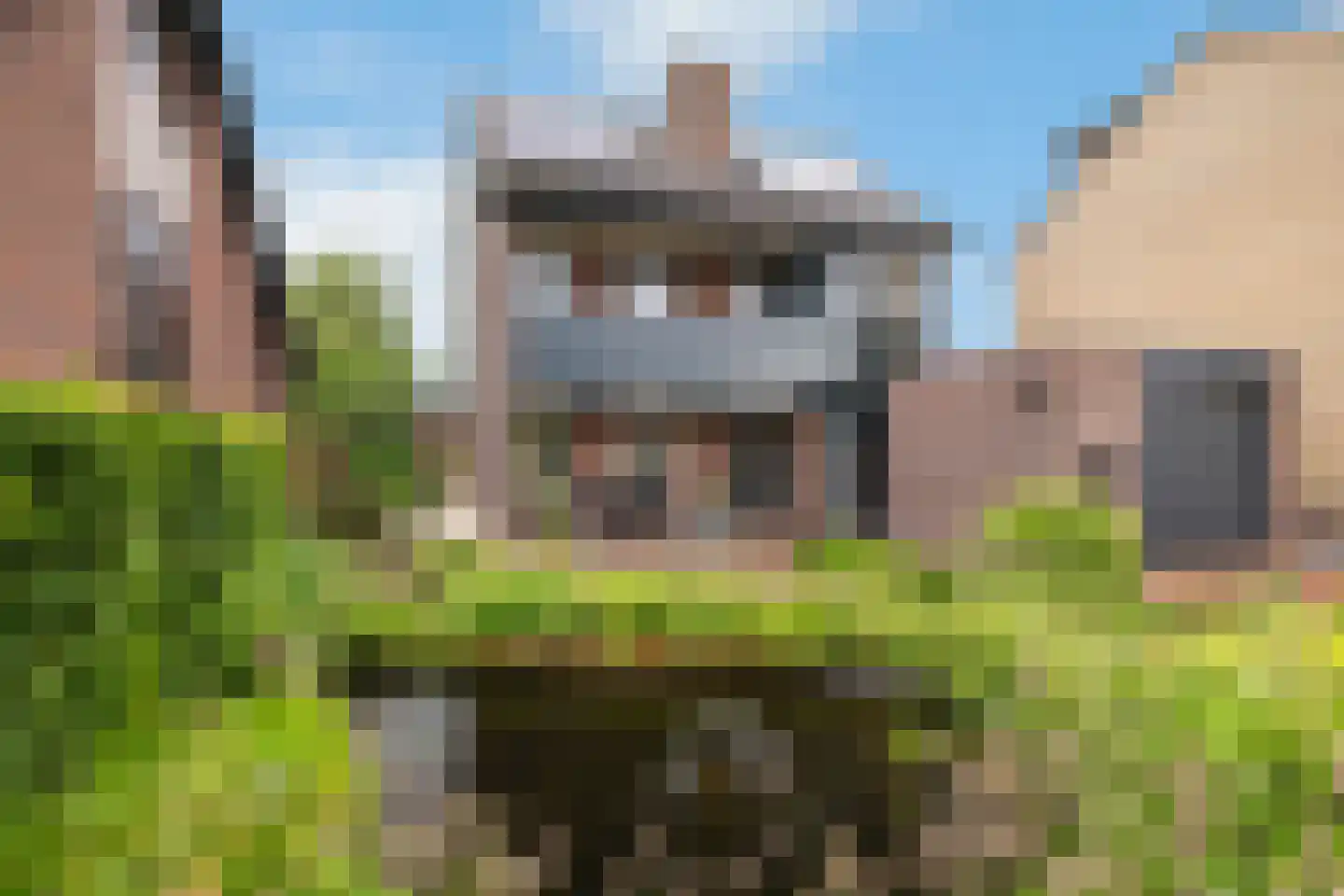 Noordse Dorpsweg 15 Noorden thumbnail 6