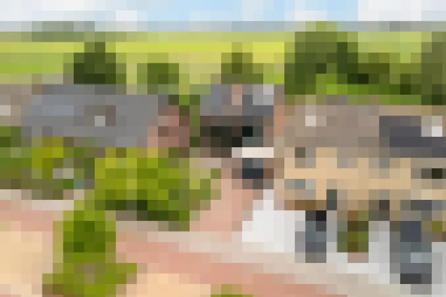 Noordse Dorpsweg 15 Noorden thumbnail 60