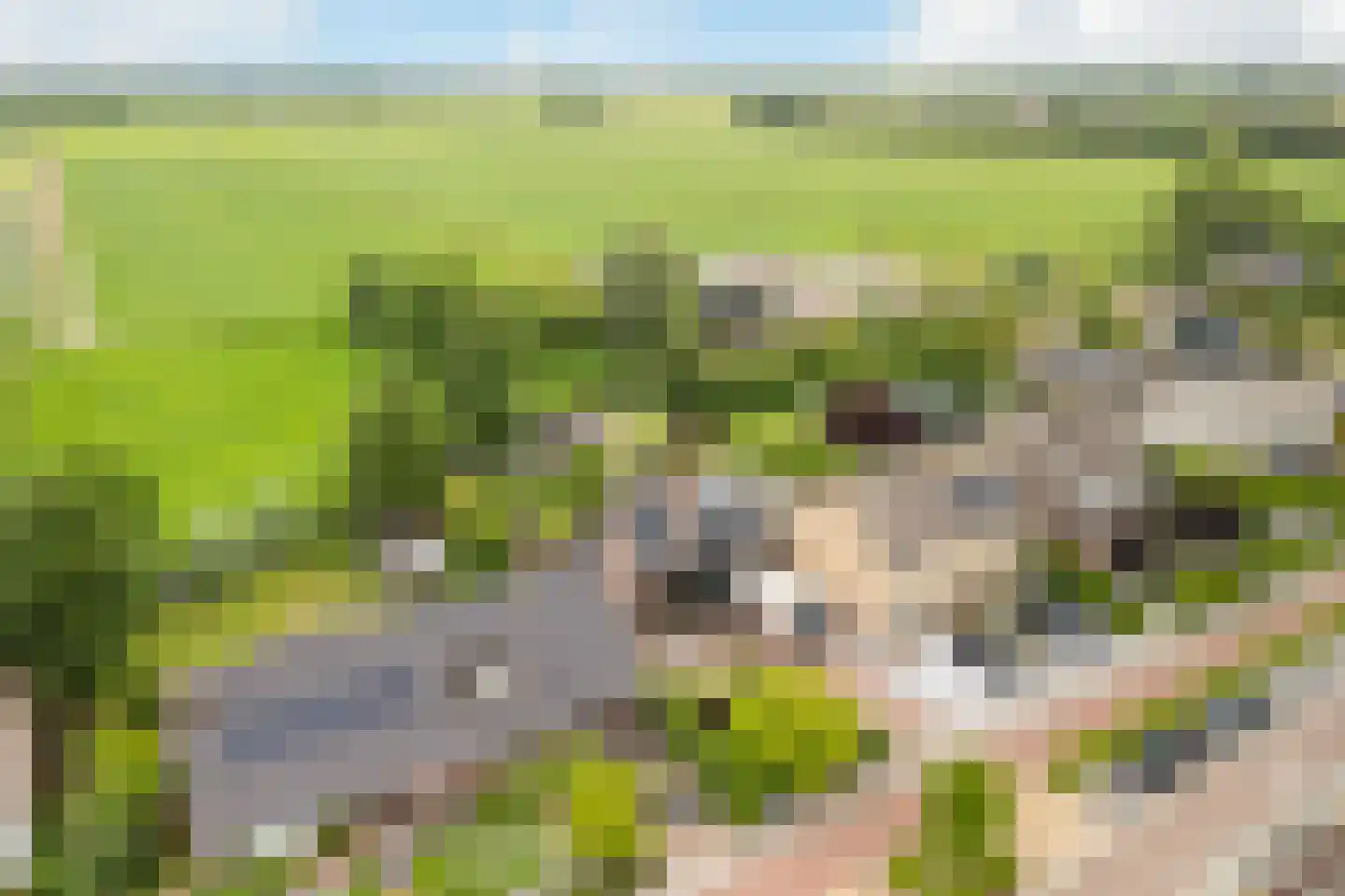 Noordse Dorpsweg 15 Noorden thumbnail 62