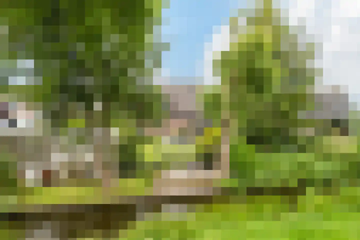 Noordse Dorpsweg 15 Noorden thumbnail 65
