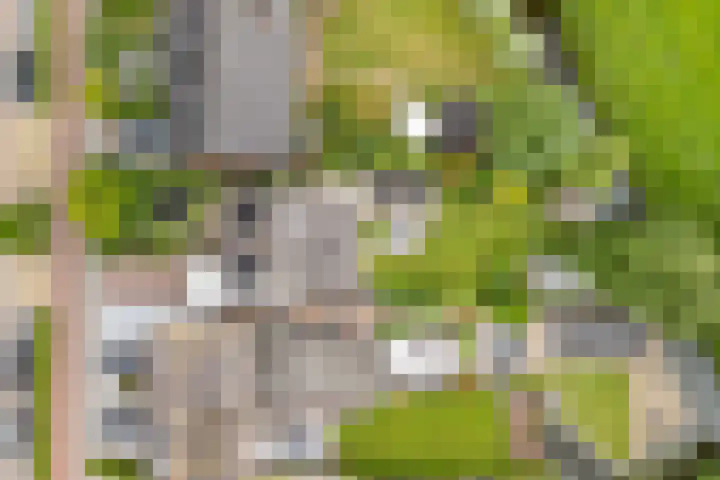 Noordse Dorpsweg 15 Noorden thumbnail 68