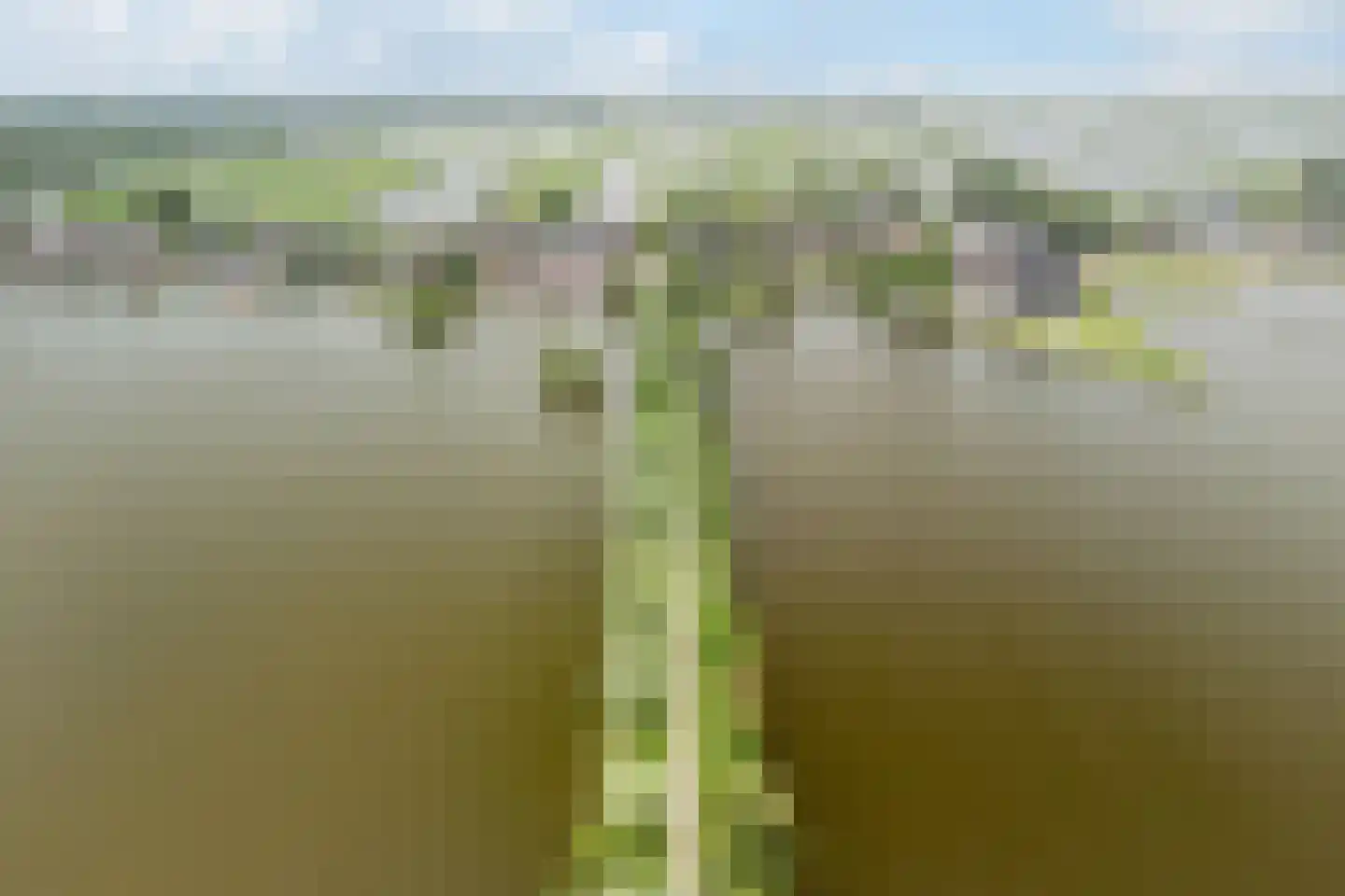 Noordse Dorpsweg 15 Noorden thumbnail 69