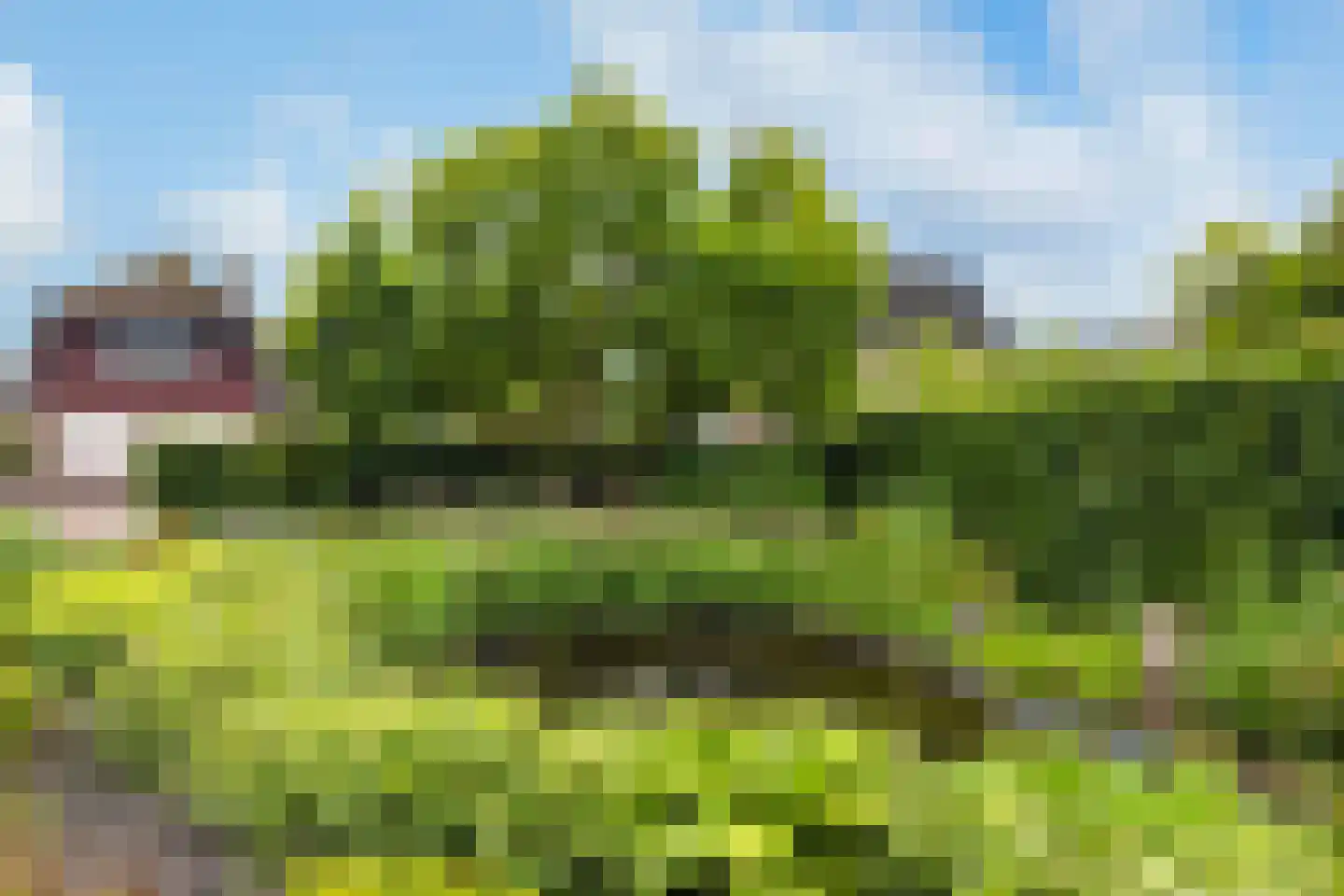 Noordse Dorpsweg 15 Noorden thumbnail 7