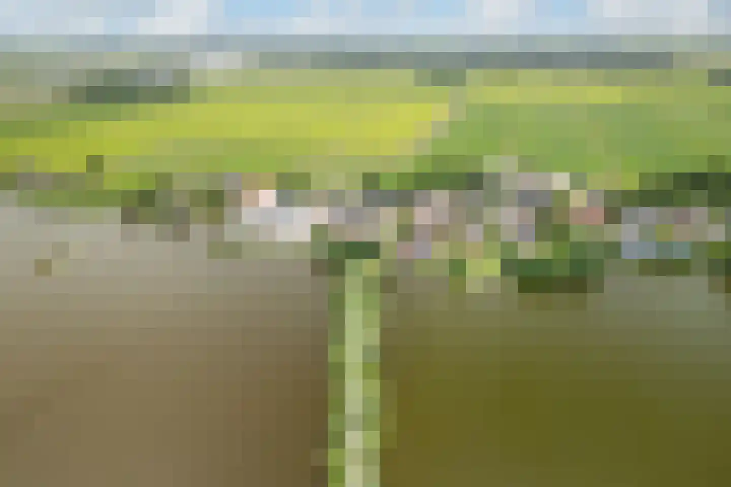 Noordse Dorpsweg 15 Noorden thumbnail 70