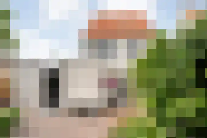 Noordse Stern 1 Emmen thumbnail 38